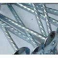 ISO 9001 Umbrella Head Roofing Nails